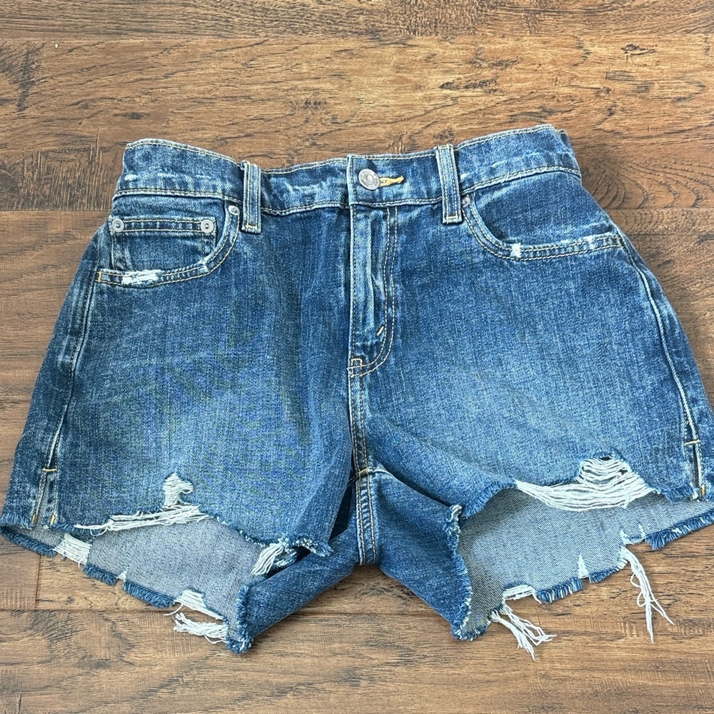 Aerie Blue Distressed Jean Shorts